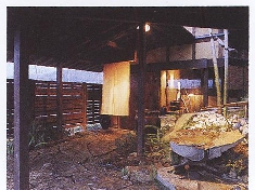 真理0019.JPG