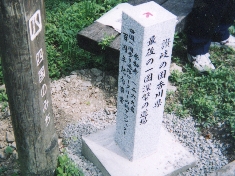 IMG.jpg