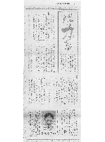 リビング新聞0067.JPG