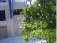 200805231037003.jpg
